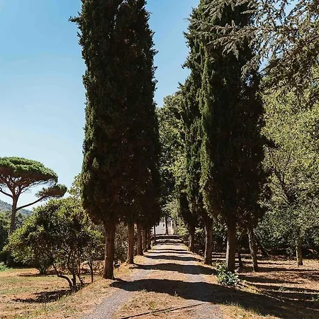 Vila Bianca Charming Tuscany House With Pool Lucca